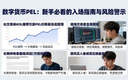 数字货币PEL：新手必看的入场指南与风险警示