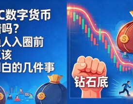 FLIC数字货币靠谱吗？普通人入圈前真正该弄明白的几件事