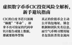 虚拟数字货币ClC投资风险全解析，新手避坑指南
