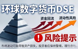 环球数字货币DSE是什么？投资者需要注意的风险