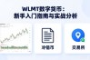 WLMT数字货币：新手入门指南与实战分析