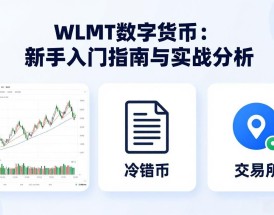 WLMT数字货币：新手入门指南与实战分析